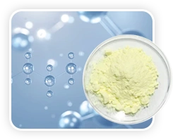 vitamotion Alpha Lipoic Acid
