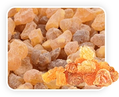vitamotion Boswellia