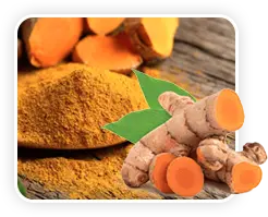 vitamotion Curcumin (from Turmeric)