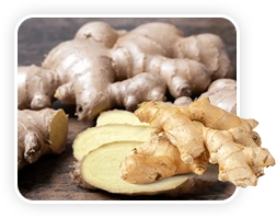 vitamotion Ginger
